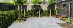 Tuinonderhoud Breda