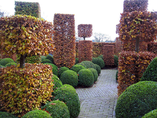 Tuin onderhoud Breda