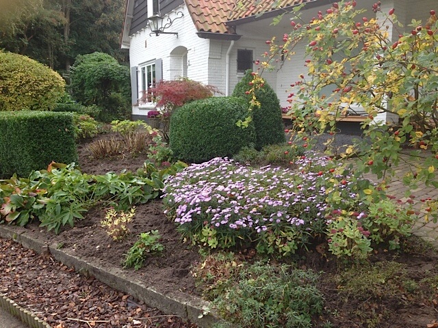 Tuin onderhoud Breda