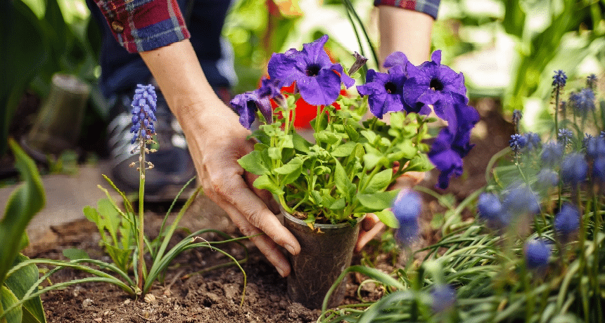 Tuinonderhoud per seizoen: hoe vaak is het écht nodig?